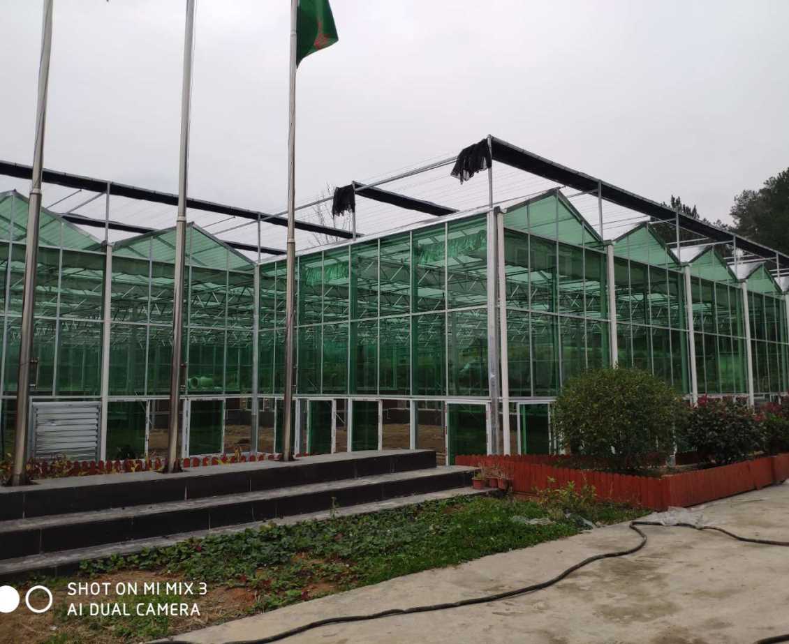 花溪力合农业玻璃温室大棚建设项目